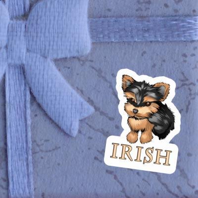 Sticker Terrier Irish Sticker Terrier Irish Image