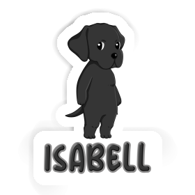 Autocollant Isabell Labrador Image