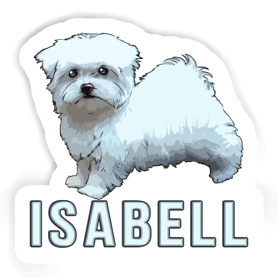 Autocollant Bichon maltais Isabell Notebook Autocollant Bichon maltais Isabell Gift package Image