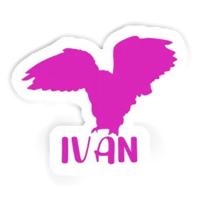 Eule Sticker Ivan Image