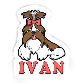 Shih Tzu Autocollant Ivan Image