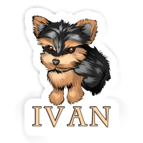 Yorkie Autocollant Ivan Image