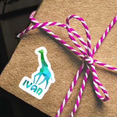 Giraffe Sticker Ivan Notebook Giraffe Sticker Ivan Gift package Image