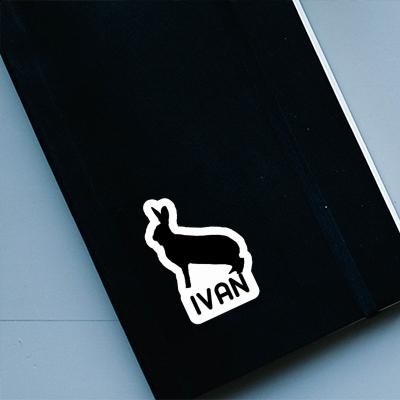 Rabbit Sticker Ivan Notebook Rabbit Sticker Ivan Gift package Image