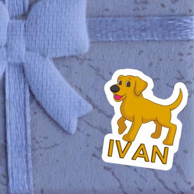 Labrador Sticker Ivan Image