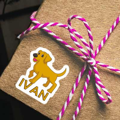 Ivan Autocollant Labrador Gift package Image