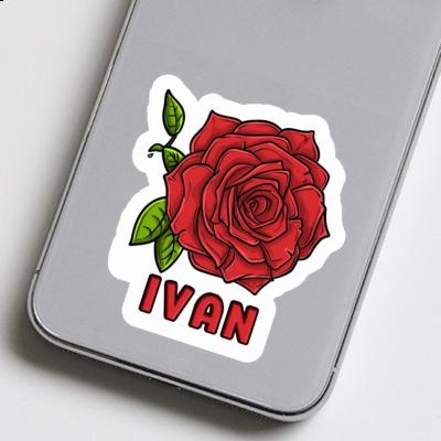 Aufkleber Rose Ivan Laptop Aufkleber Rose Ivan Laptop Image