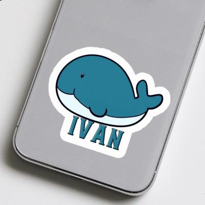 Walfisch Aufkleber Ivan Notebook Walfisch Aufkleber Ivan Gift package Image