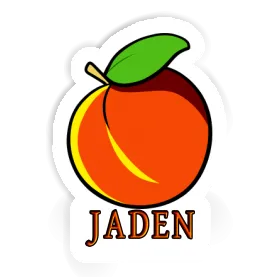 Jaden Sticker Apricot Image