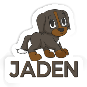 Jaden Sticker Bernese Mountain Dog Image