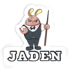 Sticker Jaden Billiards Player Image