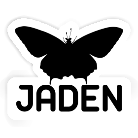 Autocollant Papillon Jaden Image