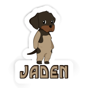 Sticker Jaden German Wirehaired Pointer Image