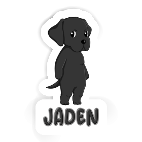 Labrador Autocollant Jaden Image