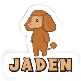 Sticker Poodle Jaden Image