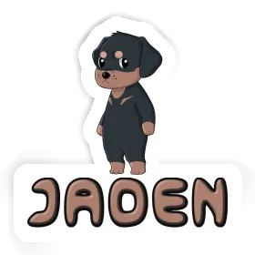 Autocollant Rottweiler Jaden Image