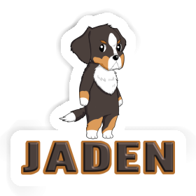 Sticker Berner Sennenhund Jaden Image