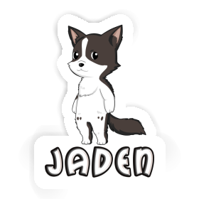 Jaden Sticker Border Collie Image