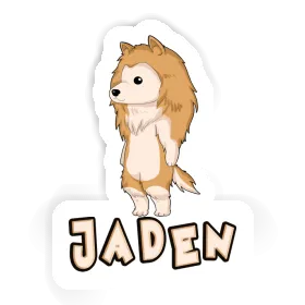 Collie Aufkleber Jaden Image