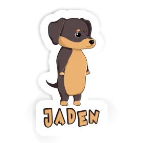 Jaden Sticker Dachshund Image