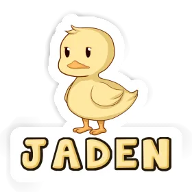 Autocollant Canard Jaden Image