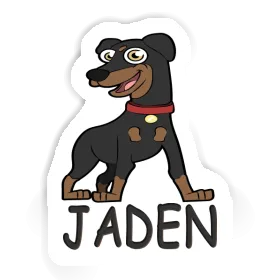 German Pinscher Sticker Jaden Image