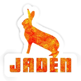 Jaden Sticker Rabbit Image