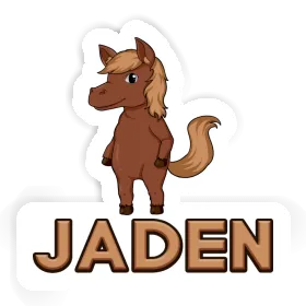 Autocollant Cheval Jaden Image