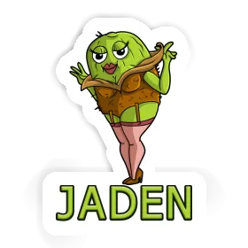 Jaden Aufkleber Kiwi Image