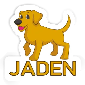 Sticker Labrador Jaden Image