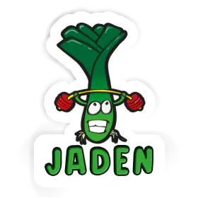 Sticker Jaden Lauch Image