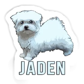 Jaden Sticker Malteser Image