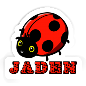 Sticker Jaden Ladybird Image