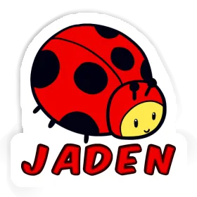 Ladybug Sticker Jaden Image