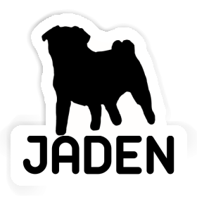 Sticker Pug Jaden Image