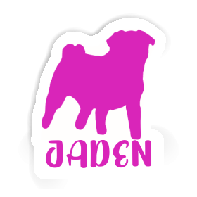 Sticker Pug Jaden Image