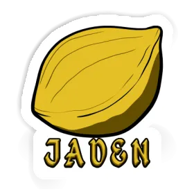 Sticker Nut Jaden Image