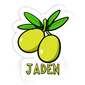 Sticker Jaden Olive Image