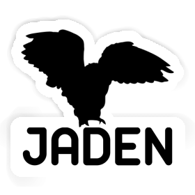 Autocollant Jaden Hibou Image