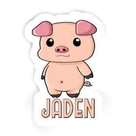 Sticker Schweinchen Jaden Image