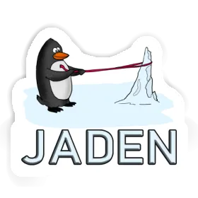 Pinguin Sticker Jaden Image