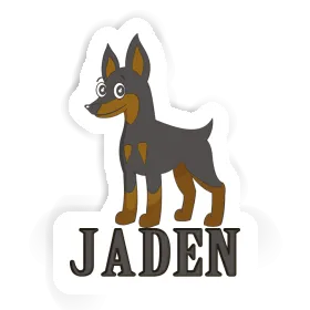 Jaden Sticker Pinscher Image