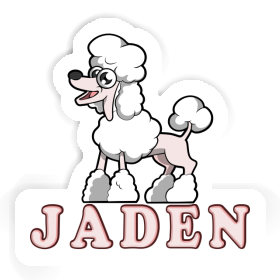 Sticker Poodle Jaden Image