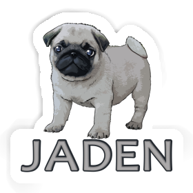 Sticker Mops Jaden Image