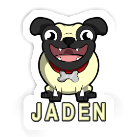 Jaden Sticker Pug Image