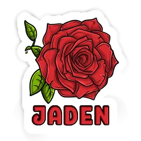 Autocollant Rose Jaden Image