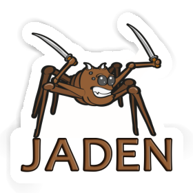 Kampfspinne Sticker Jaden Image