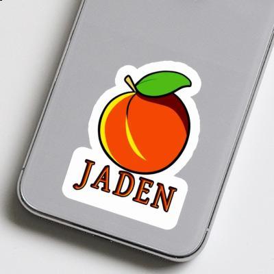 Autocollant Abricot Jaden Gift package Image