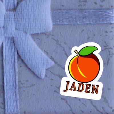 Jaden Sticker Apricot Laptop Image