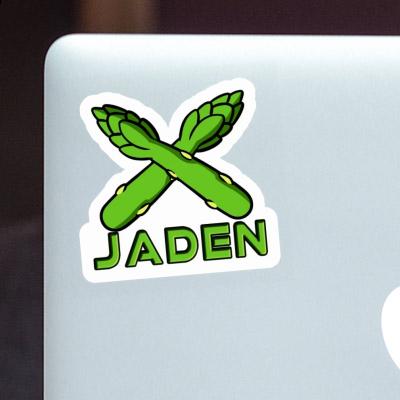 Sticker Jaden Asparagus Gift package Image